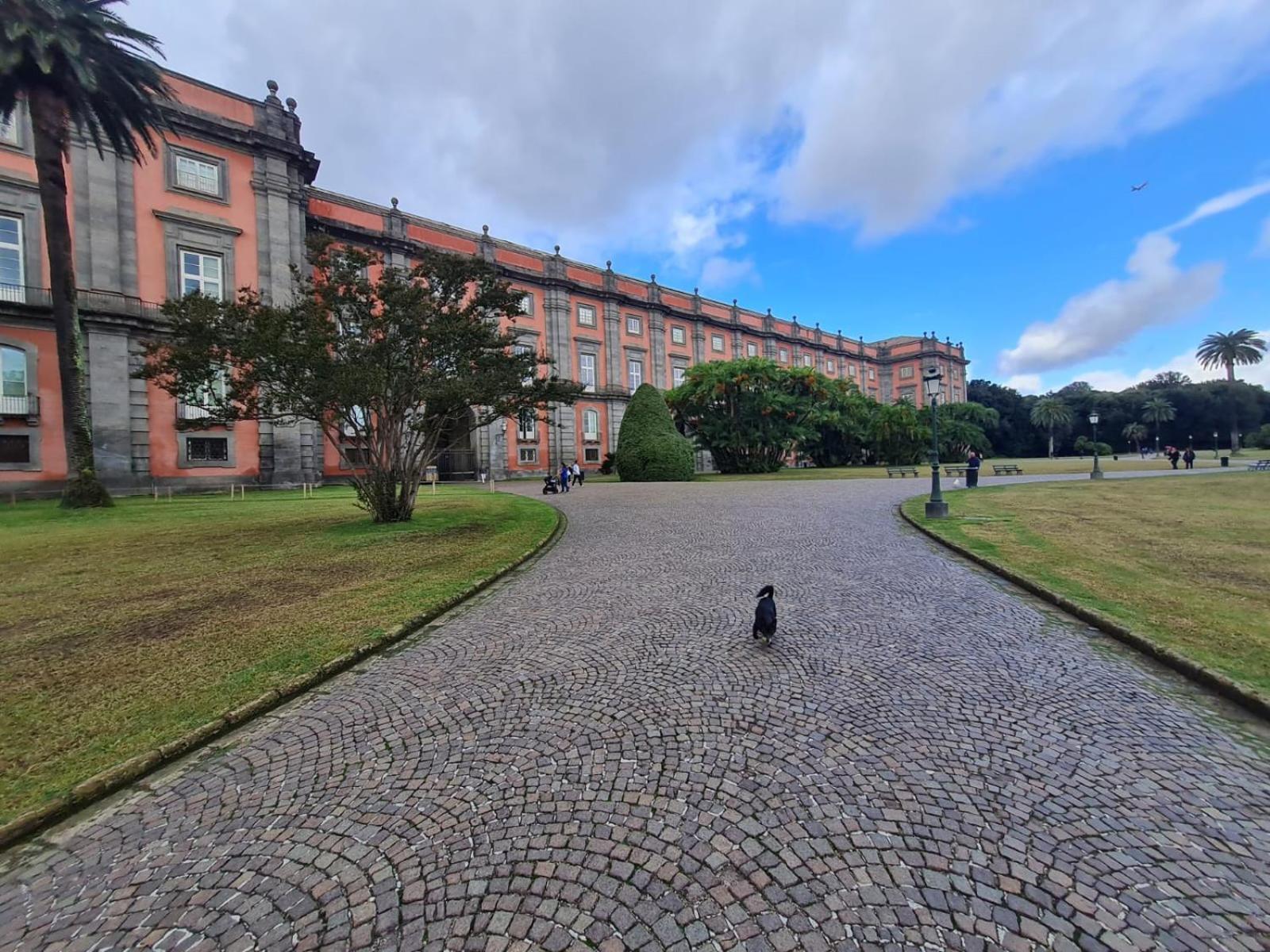 Casa Marianna Lejlighed Napoli Eksteriør billede